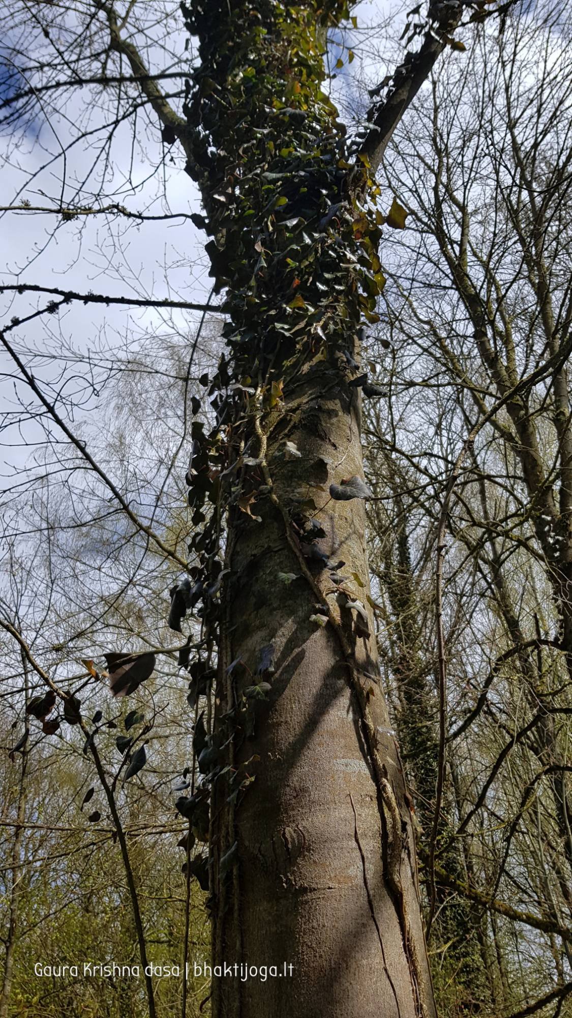  skinderiskio dendrologinis parkas 2021 05 08